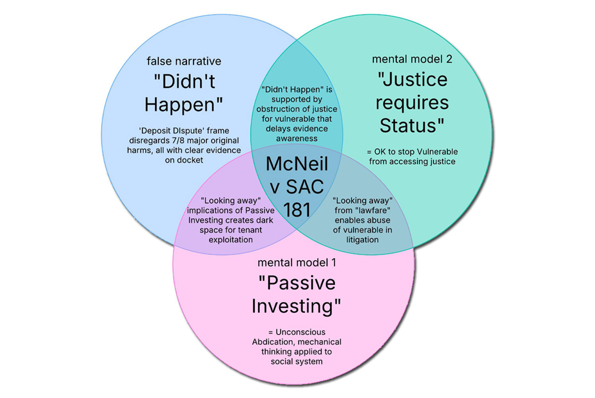 3 False Frames in McNeil v SAC 181, LLC