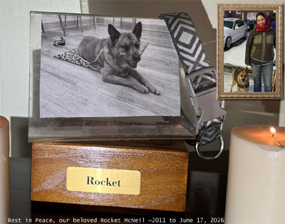 Rocket the Carolina Dog memorial - rest in peace